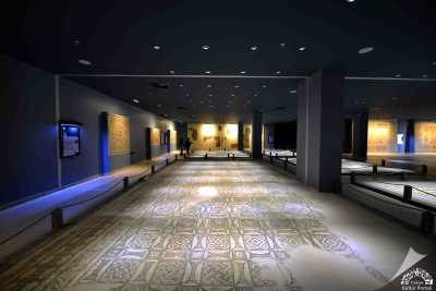 Zeugma Mozaik Müzesi